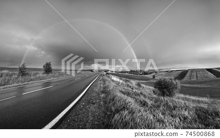 Grayscale. Spring rapeseed and small farmlands fields after rain Grayscale. Spring rapeseed and small farmlands fields after rain 74500868