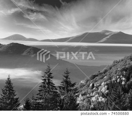 Grayscale. Forest on autumn slope and clouds between the peaks. Grayscale. Forest on autumn slope and clouds between the peaks. 74500880