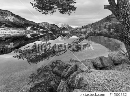 Grayscale. Cloudy winter Alpine  lake Grundlsee view (Austria) with fantastic pattern-reflection on the water surface and pine tree on shore. 74500882