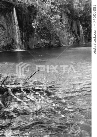 Grayscale. Summer view of beautiful small waterfalls and  trunk of dry tree at the lake bottom (Plitvice Lakes National Park, Croatia). 74500883