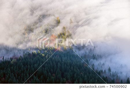Autumn Alps mountain misty morning view from Jenner Viewing Platform, Schonau am Konigssee, Bavaria, Germany. Autumn Alps mountain misty morning view from Jenner Viewing Platform, Schonau am Konigssee, Bavaria, Germany. 74500902