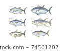 Illustration of fish inhabiting the sea 74501202