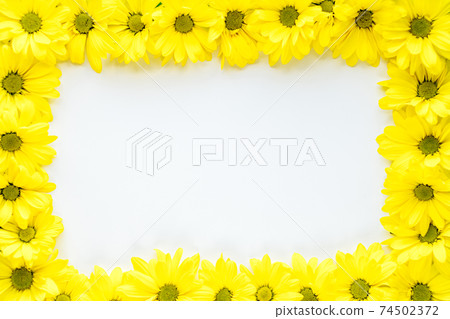 layout of bright yellow natural flowers on white background. Floral frame made of daisies. pattern of fresh plants on solid colored background. spring, summer, women day, mothers Day, ecology concept layout of bright yellow natural flowers on white background. Floral frame made of daisies. pattern of fresh plants on solid colored background. spring, summer, women day, mothers Day, ecology concept 74502372