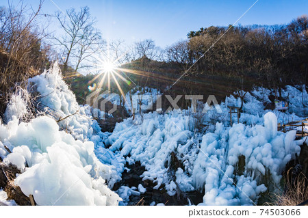 ragwood冰柱 74503066