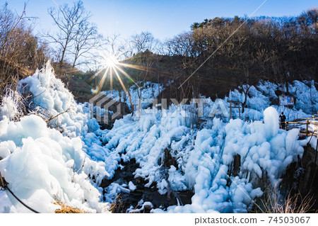 ragwood冰柱 74503067