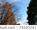 街角的風景。深秋的倉木公園。秋天的樹木和藍天-1。 74503241