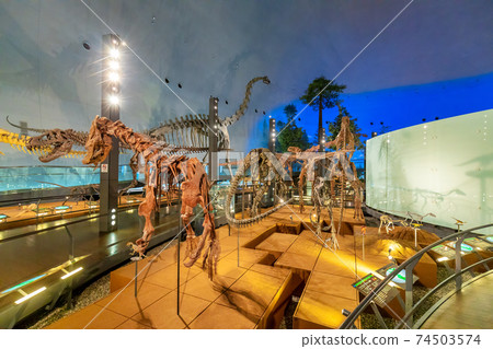 Dinosaur (Museum Katsuyama City) 74503574