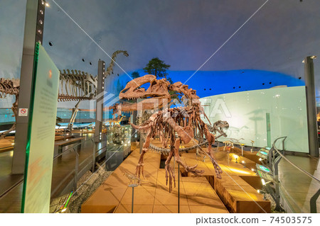 Dinosaur (Museum Katsuyama City) 74503575