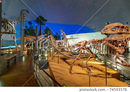 Dinosaur (Museum Katsuyama City) 74503576