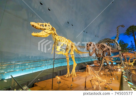 Dinosaur (Museum Katsuyama City) 74503577