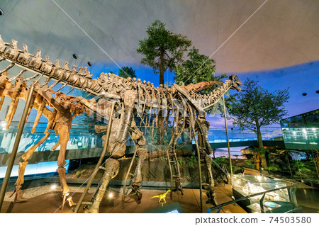 Dinosaur (Museum Katsuyama City) Dinosaur (Museum Katsuyama City) 74503580