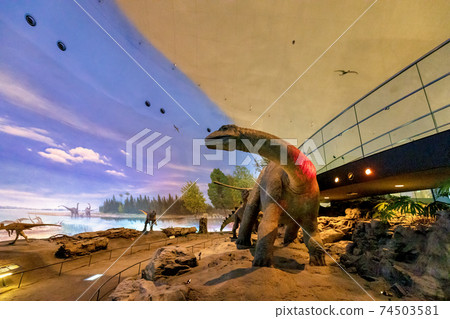 Dinosaur (Museum Katsuyama City) Dinosaur (Museum Katsuyama City) 74503581