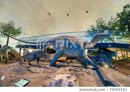 Dinosaur (Museum Katsuyama City) Dinosaur (Museum Katsuyama City) 74503582