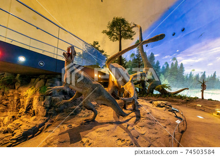Dinosaur (Museum Katsuyama City) Dinosaur (Museum Katsuyama City) 74503584