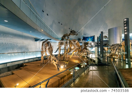 Dinosaur (Museum Katsuyama City) 74503586
