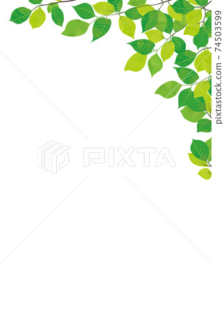 Refreshing fresh green decorative frame material 74503599