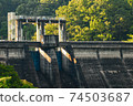 深綠色和水壩 74503687