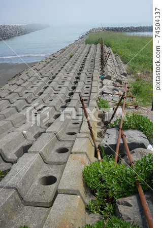 Seaside landscape Seaside landscape 74504137