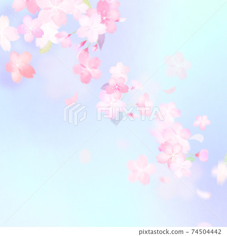 Simple and beautiful cherry blossom background-there are multiple variations 74504442
