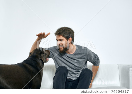 Man with a pet dog on the couch fun friends emotions light room 74504817