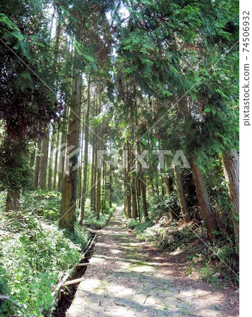 成為“草間倉”的典範的鵝卵石路（熊本縣玉名市） 74506932