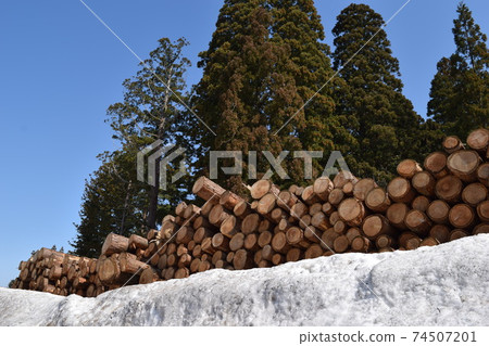 Cedar log cut out Cedar log cut out 74507201
