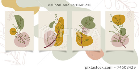 Set of brochure or poster template contemporary botanical wall art Abstract leaves foliage organic shapes on white background. Set of brochure or poster template contemporary botanical wall art Abstract leaves foliage organic shapes on white background. 74508429