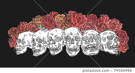 Many Skulls with Red Roses vector doodle. Vector illustration. 74508498