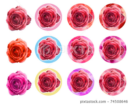 模擬水彩紅玫瑰圖標集 74508646