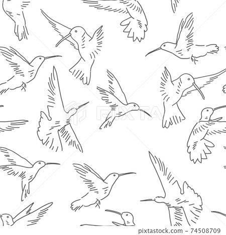 Hummingbird seamless pattern. Exotic theme vector background 74508709