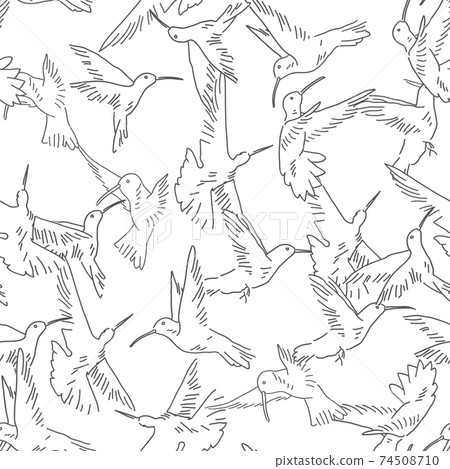 Hummingbird seamless pattern. Exotic theme vector background 74508710