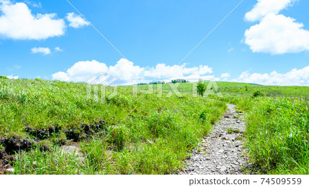 Scenery of Kirigamine Plateau (Summer) Scenery of Kirigamine Plateau (Summer) 74509559