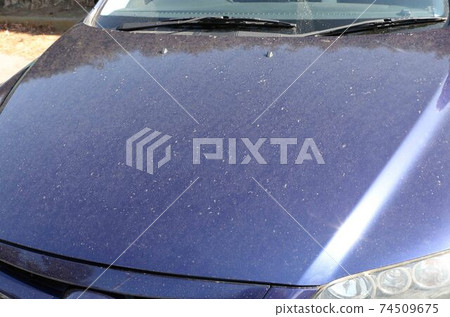 帽子上的污垢 74509675