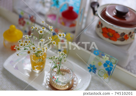 Matriarcharia 74510201