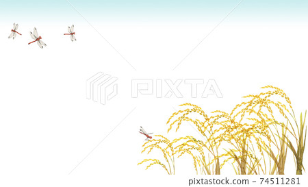 水稻和紅蜻蜓背景框架水彩插圖風景 74511281