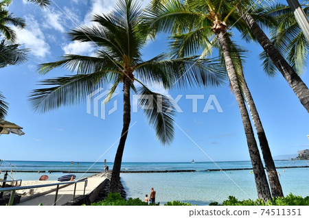 Holidays in Hawaii Holidays in Hawaii 74511351