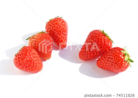 Ichigo（紅臉頰） 74511826