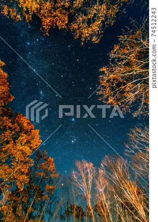 Looking up at the winter constellation of Yatsugatake from the autumnal forest 74512243