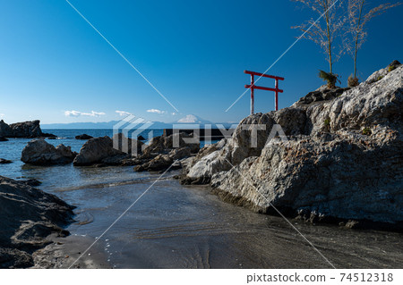 早春小ison花和富士山的羽山町風景 74512318