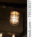 Lamp light 74513037