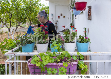 Cheerful girl watering flowers 74513054