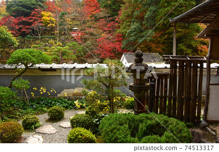 島根縣津和野H花園裡的秋葉 74513317