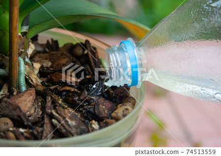 Closeup of watering plant 74513559