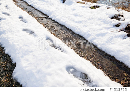 Footprints and car ruts on the accumulated snow Footprints and car ruts on the accumulated snow 74513735