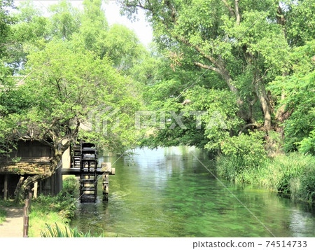 Azumino's water mill 74514733