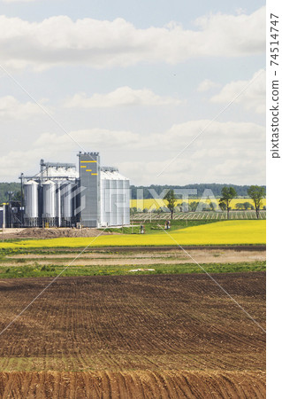 Field of rapeseed flowers, plant for cleaning and storage of agricultural products, flour, cereals and grains. Field of rapeseed flowers, plant for cleaning and storage of agricultural products, flour, cereals and grains. 74514747