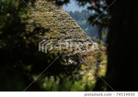 Four Seasons Walk Spring Kyoto Miyama Four Seasons Walk Spring Kyoto Miyama 74514930