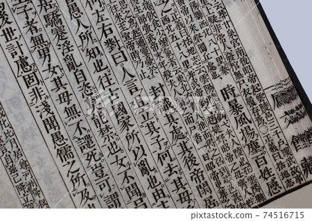 擴充/歷史回顧森林 擴充/歷史回顧森林 74516715