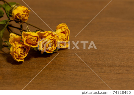 Rose dry flower 74518490