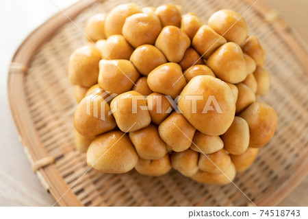 Beautiful nameko 74518743
